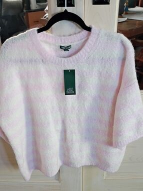wild fable Pastel Pink and White Striped Cozy Crew Sweater